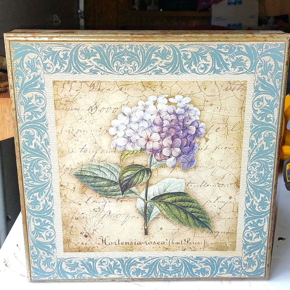 Flower Picture